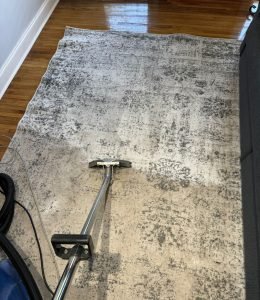 Carpet Cleaning (4)