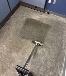 Carpet Cleaning (5)