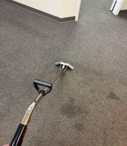 Carpet Cleaning (7)