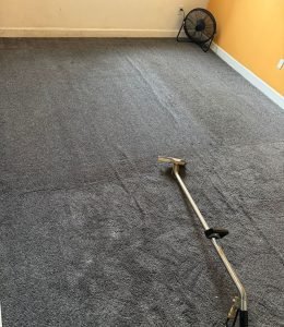 Carpet Cleaning