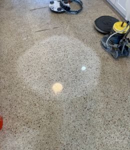 Terrazzo Floor (4)