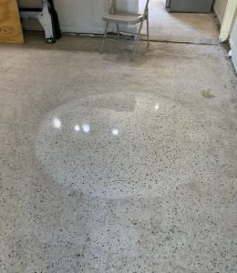 Terrazzo Floor (5)
