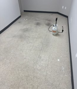 Tile and Grout Cleaning Before (9)